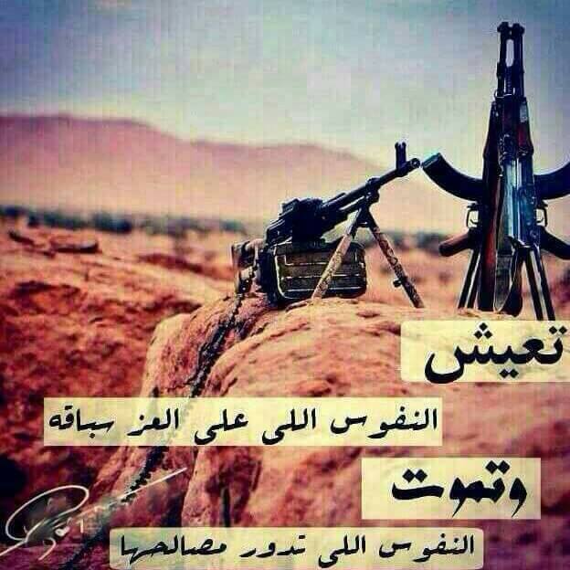تي وان تس