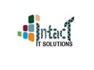 Intact I.T. Solutions | Rawalpindi
