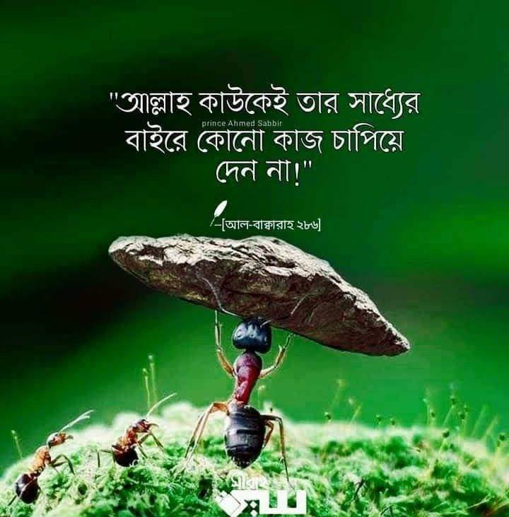 Rasel Kabir