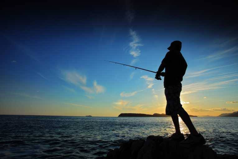 d.o.a. fishing lures DOA 2.75
