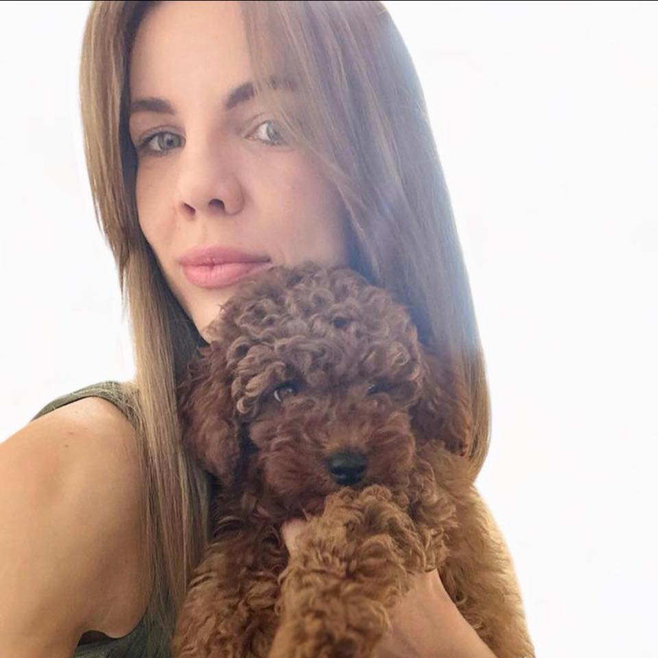 Coco / Lily / Cavapoo / Doodle