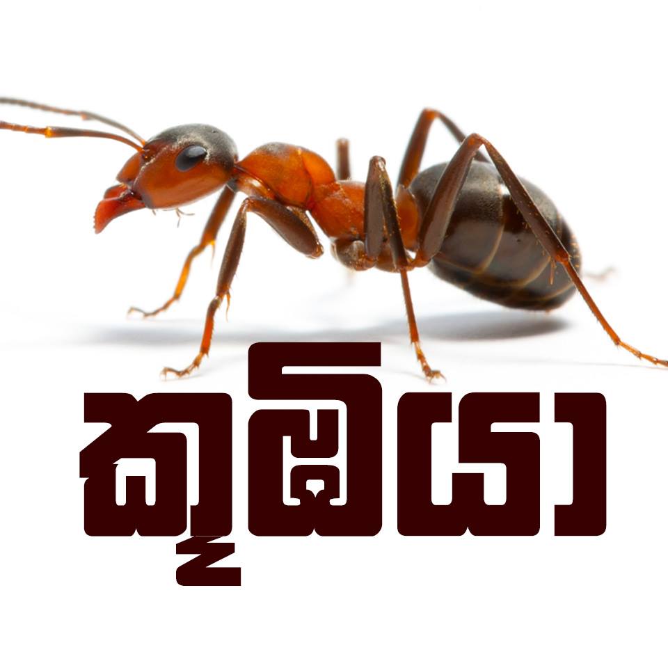 Koobiya - කූඹියා