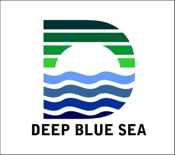 Yayasan Deep Blue Sea - DBS