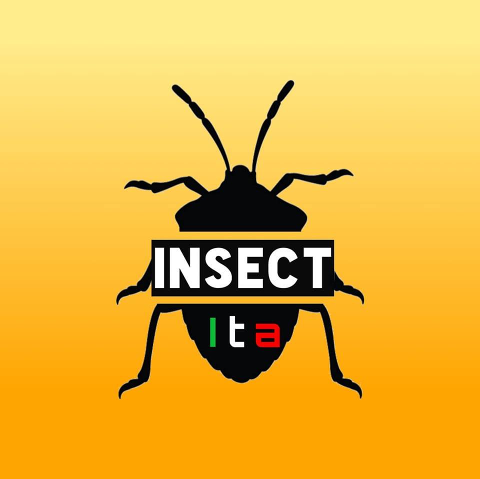 INSECT ITA | Genova