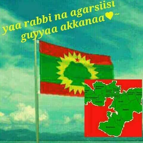 Rayyaan galamso