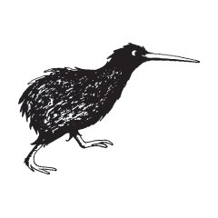 Apteryx Rowi