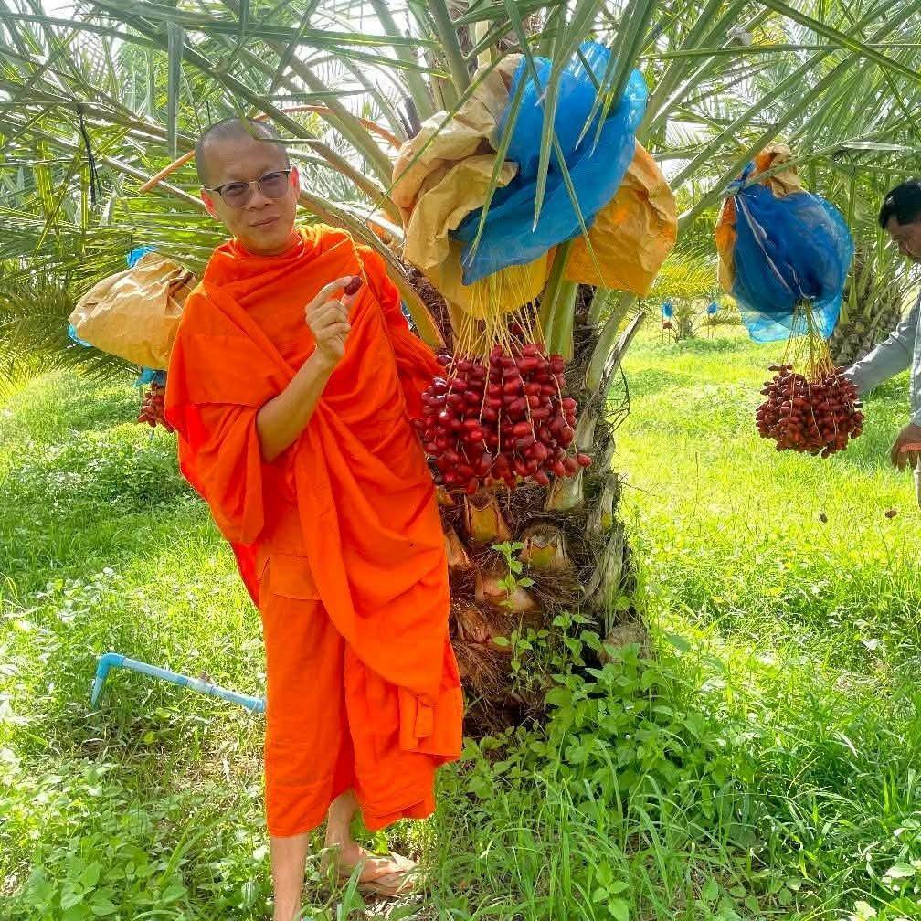 សុ ភា