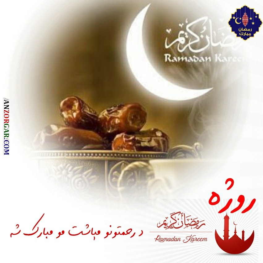 نورعلی فیضان