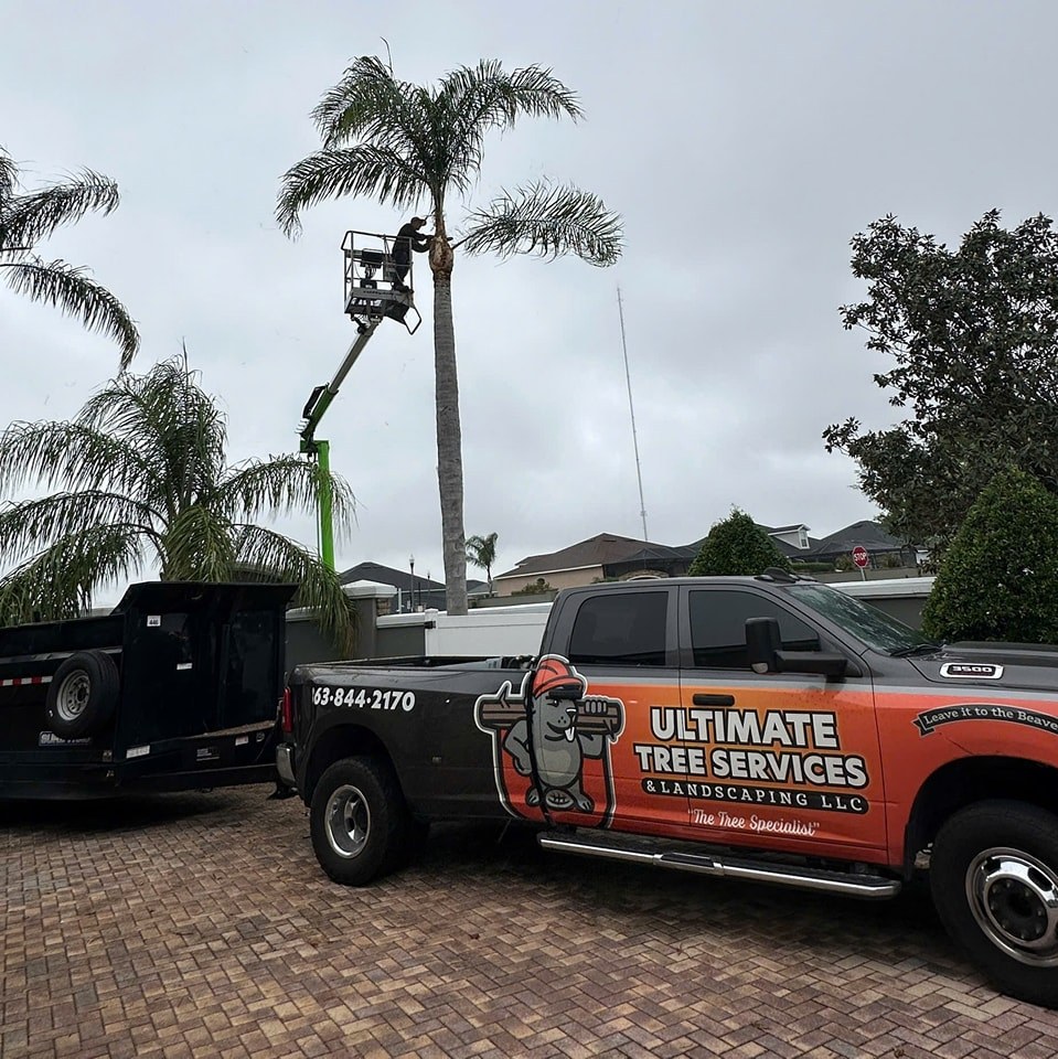 Ultimate Tree and landscape services llc | Mulberry FL