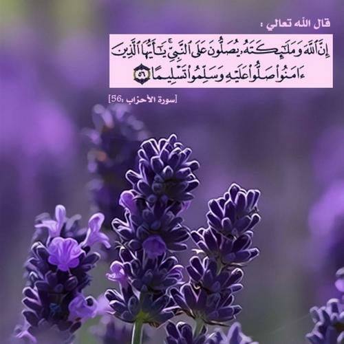 غرباء الاسلام