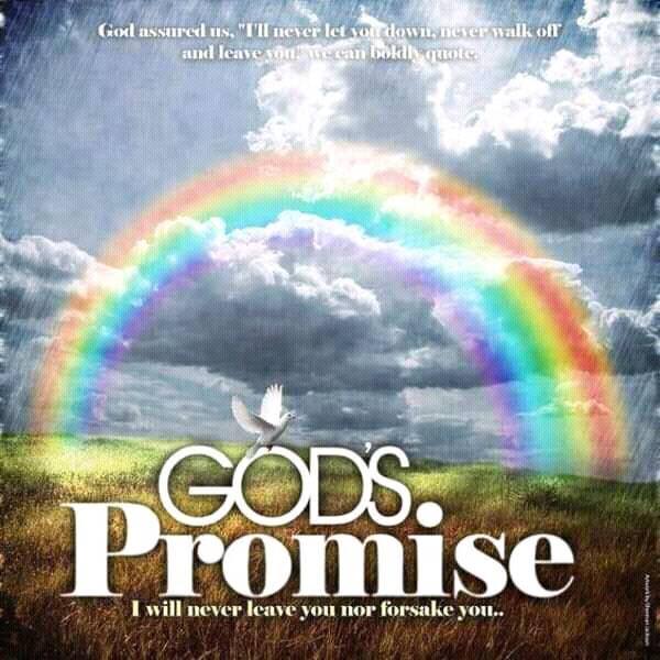 The Promise Network KENYA | Nairobi