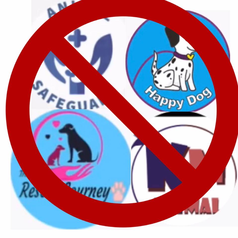 We on youtube are not stupid. Stop fake animal rescues on youtube