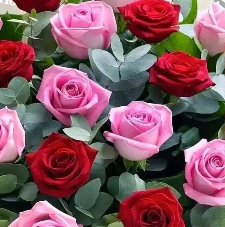 Muhamma Raza