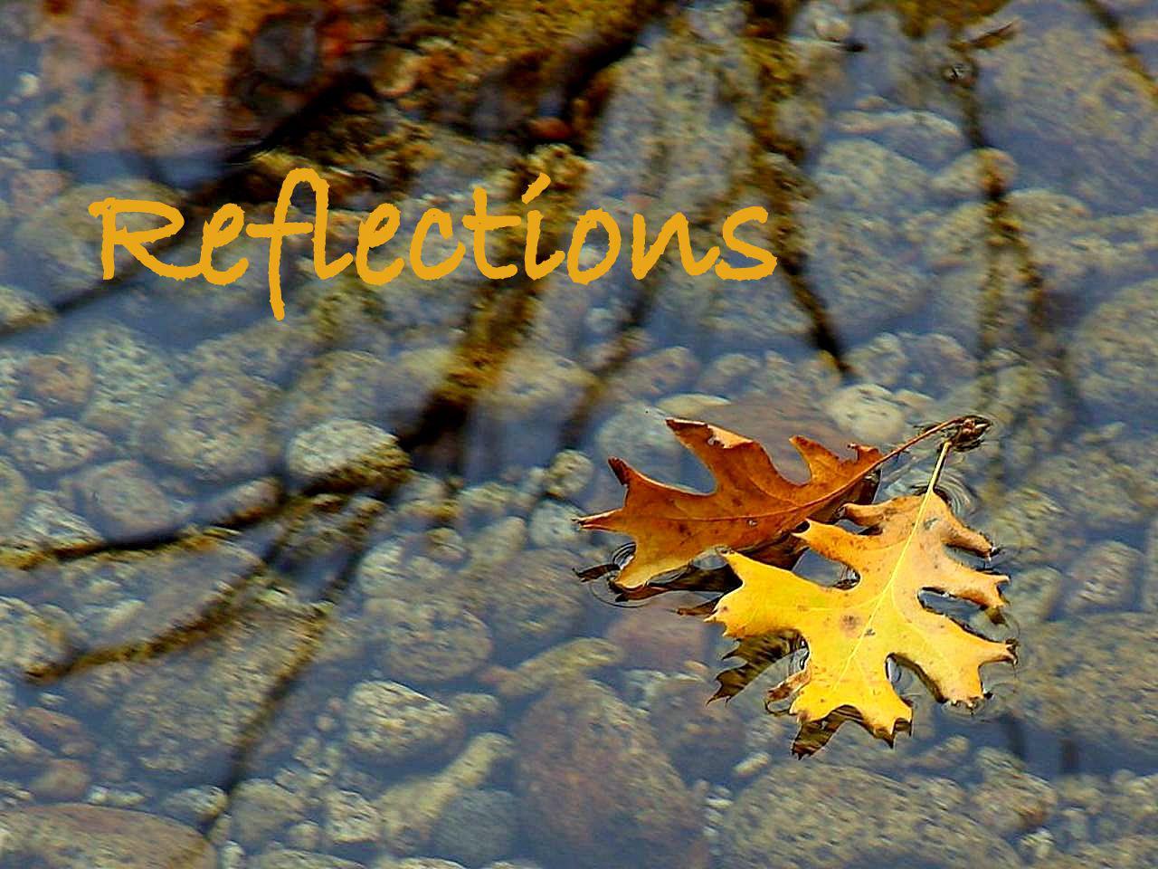 Reflections, The Magazine Society, DDUC