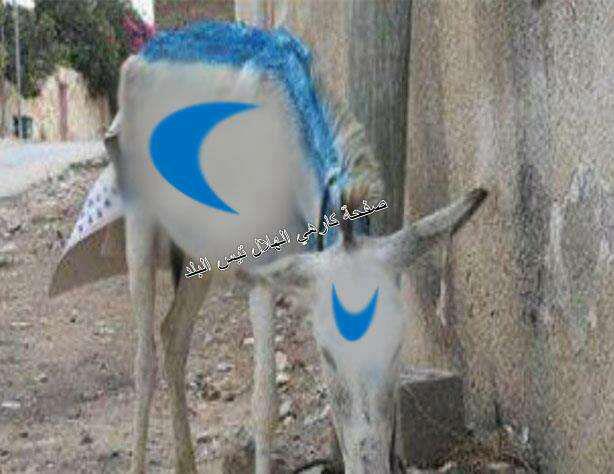 الهلال السودانى حمار البلد