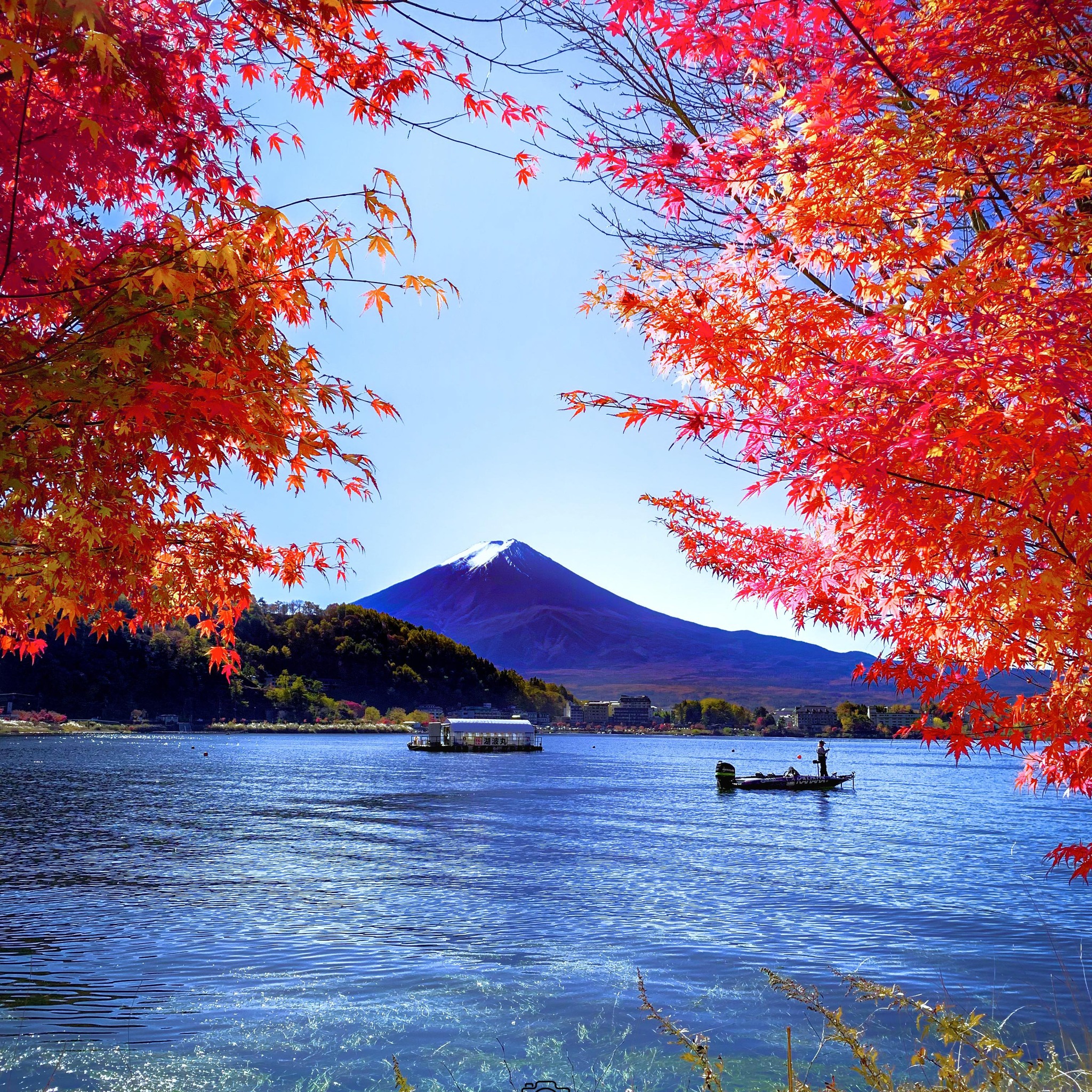 Photography - 🍂🍁 “ The leaves are slowly starting to fall here this ...