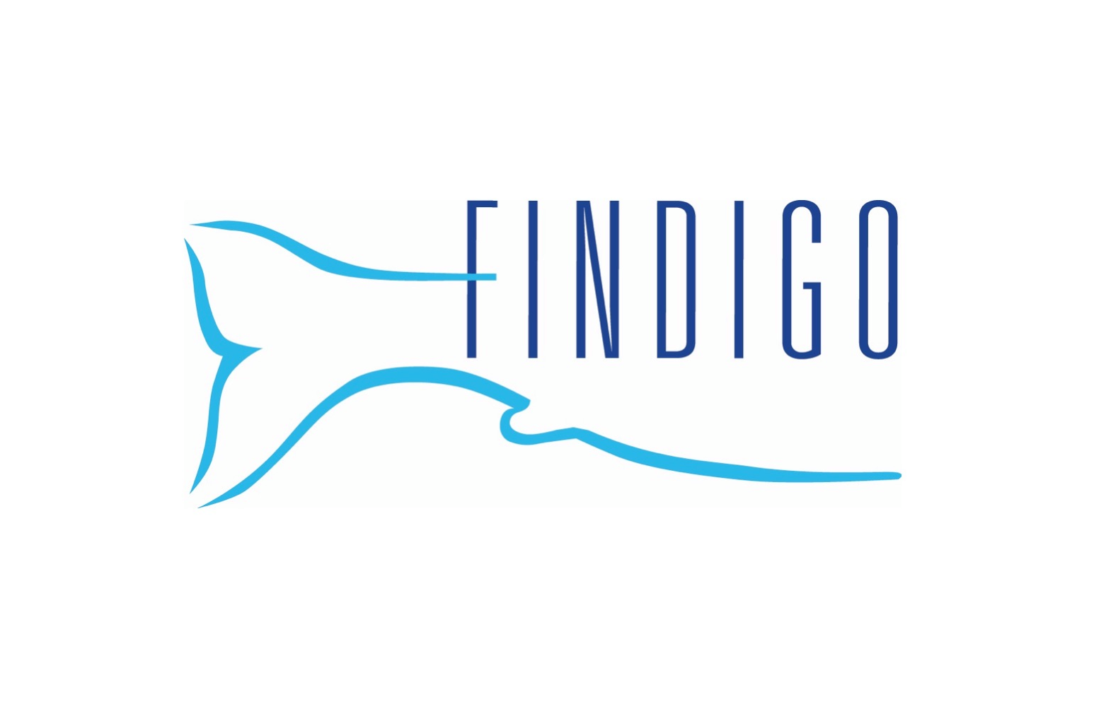 Findigo