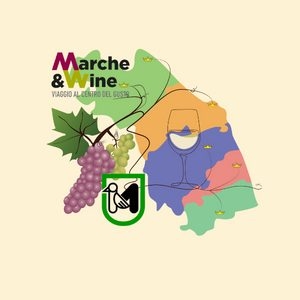 MarcheExperience