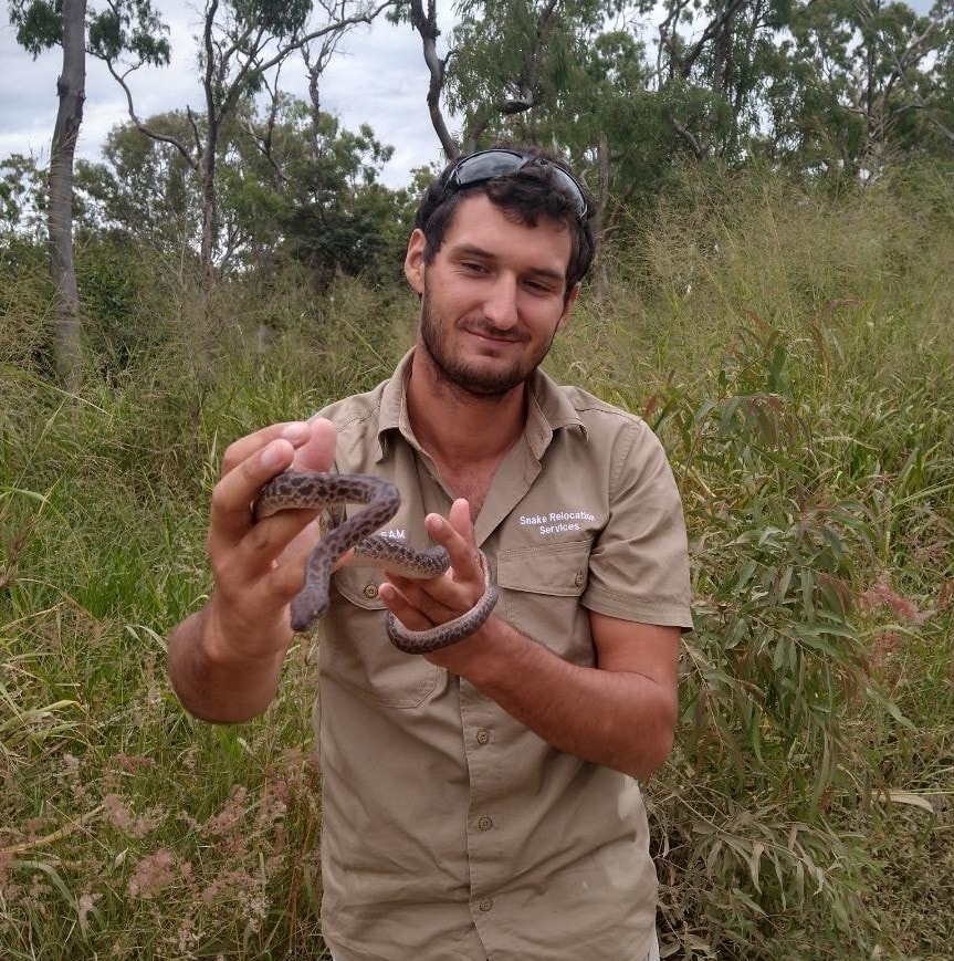 Sam's Snake Relocation Services