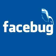 Facebug