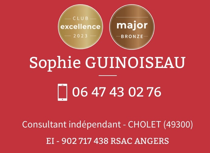 sophie-guinoiseau-megagence-cholet
