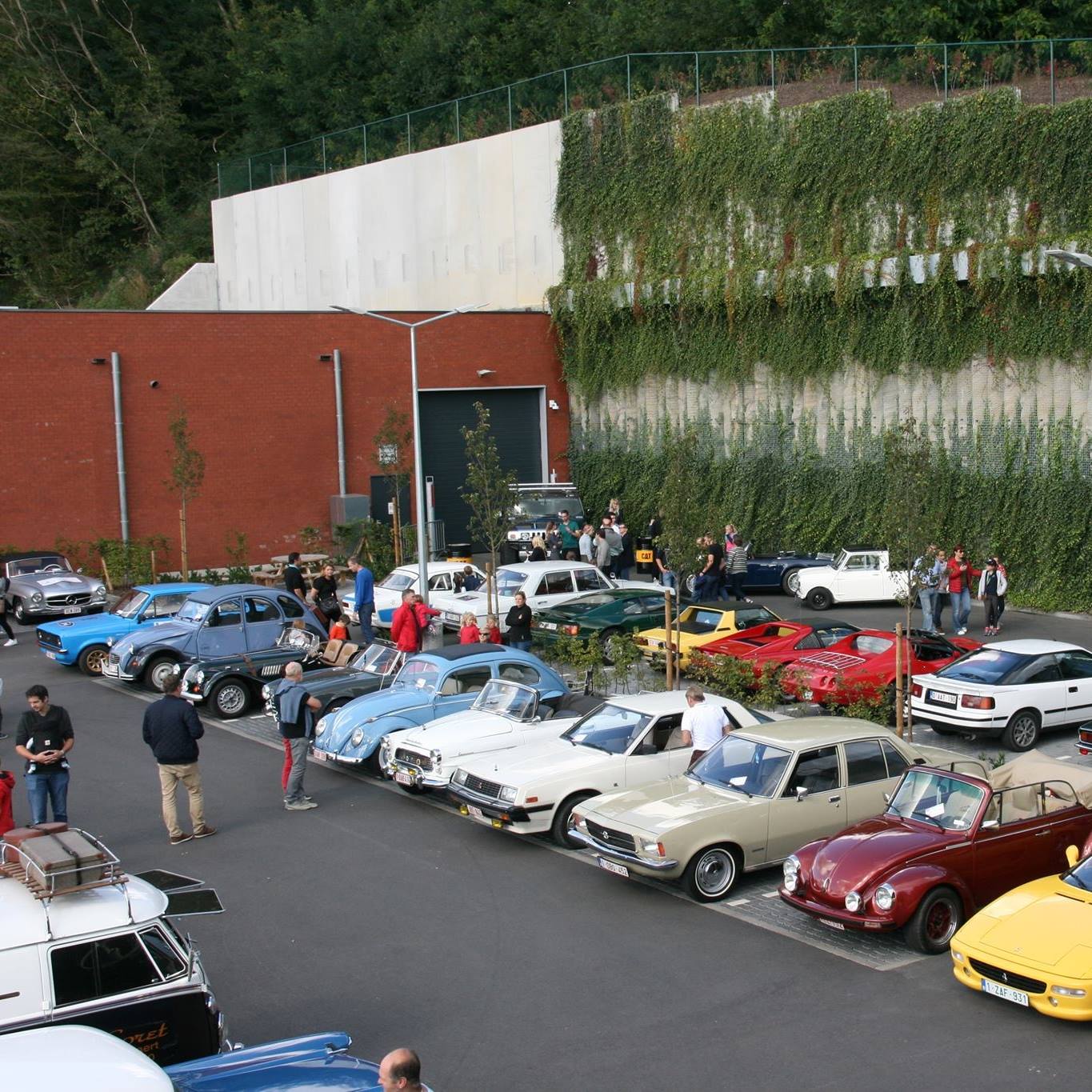 Cars & Dreams @ Druivenfestival Hoeilaart
