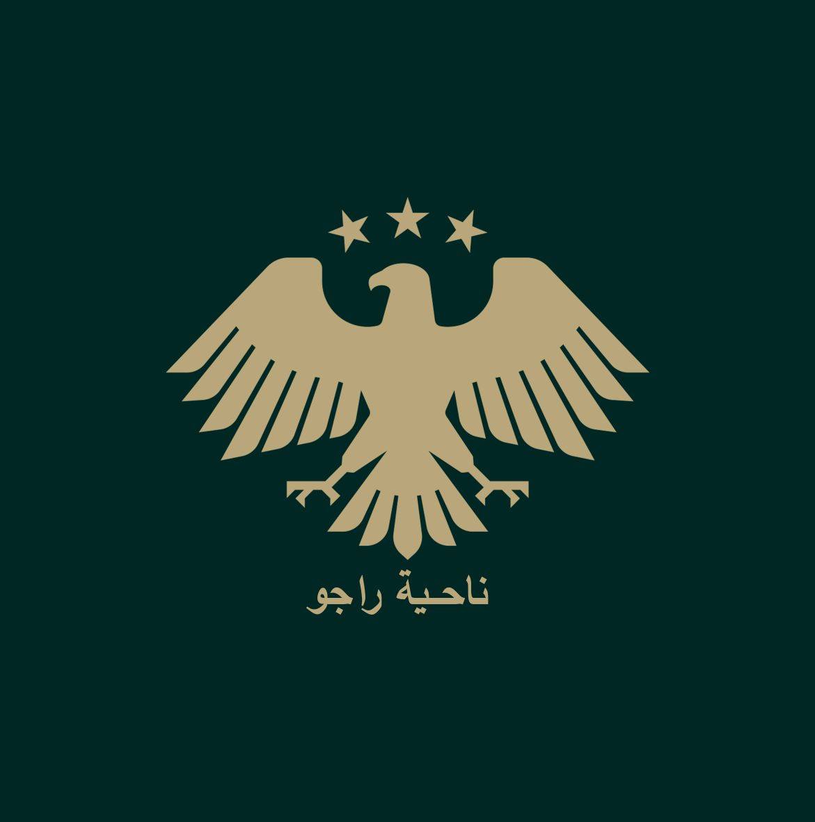 المجلس المحلي لمدينة راجو