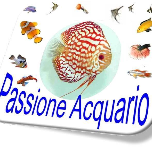 Passione Acquario