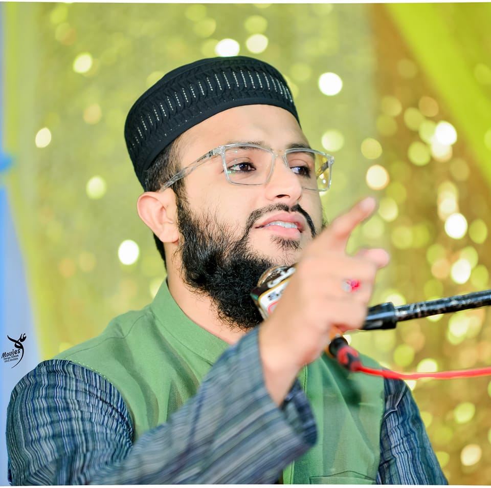 حافظ محمد انیس