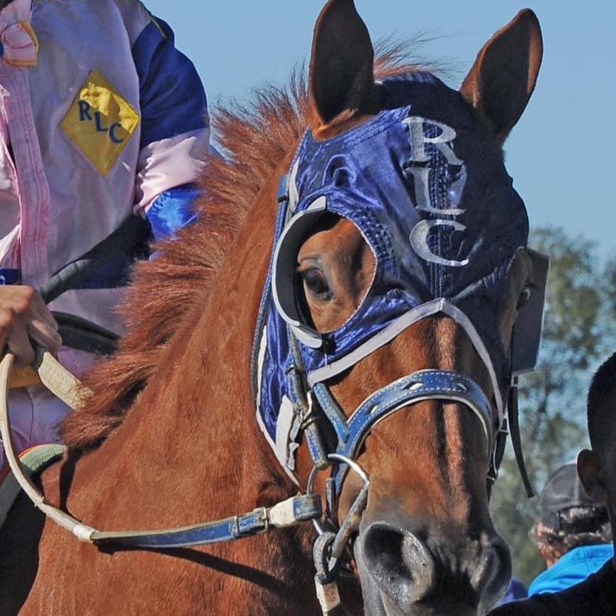 Reed Racing/ Reed Land and Cattle | Seminole OK
