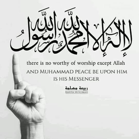 Tabish Raza