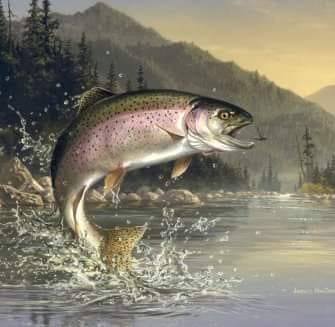 Haider Trout Fish Farm | Skardu