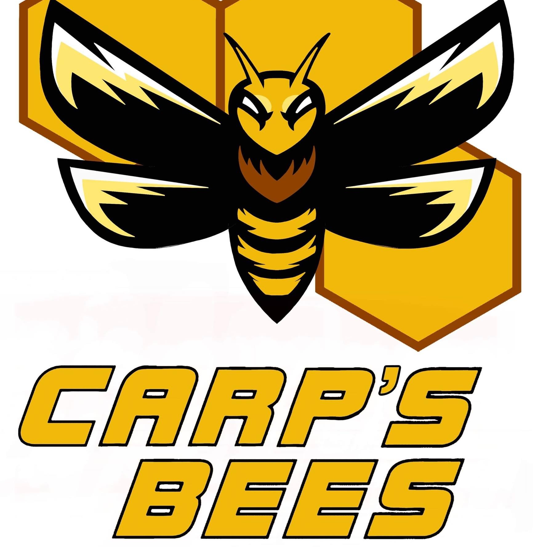 Wichita Beekeeper Alliance | I might be the only one, but I hate it ...