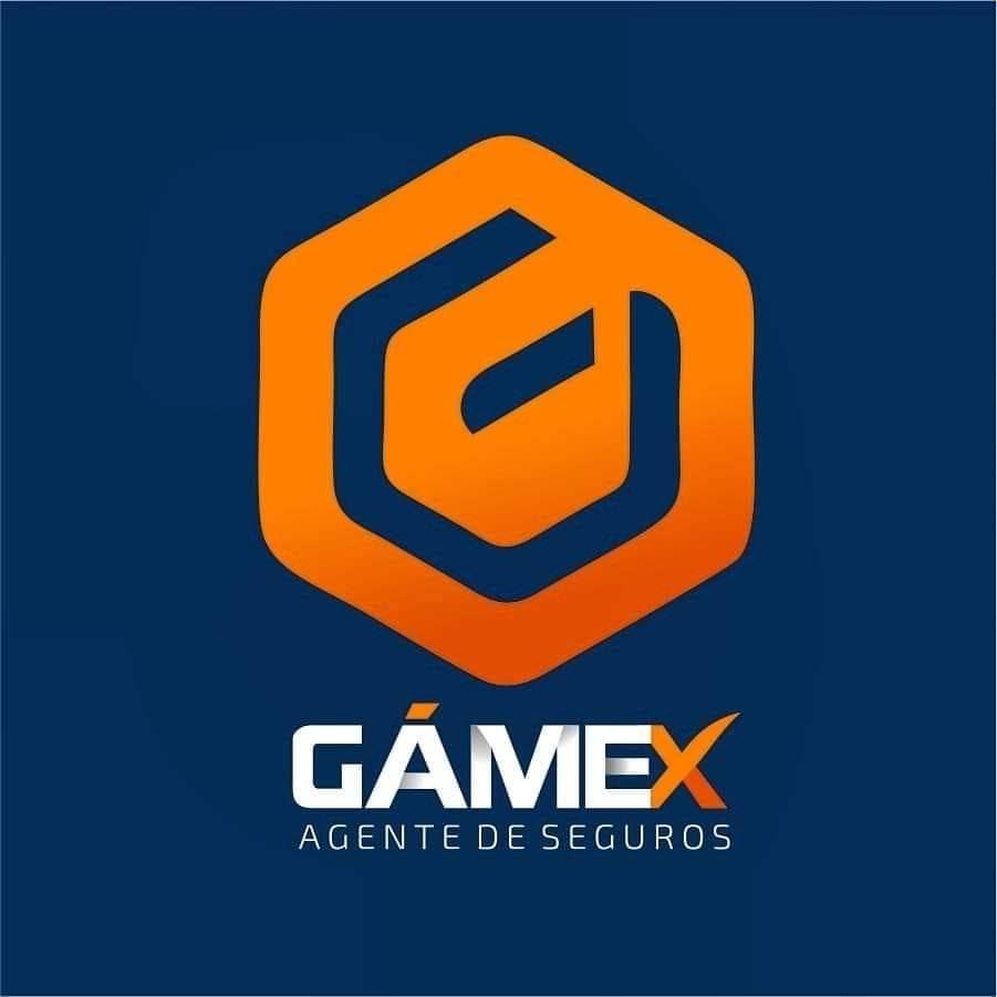 Gamex Agente de Seguros | Los Mochis