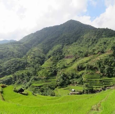 Kadaclan, Mountain, Philippines | Barlig