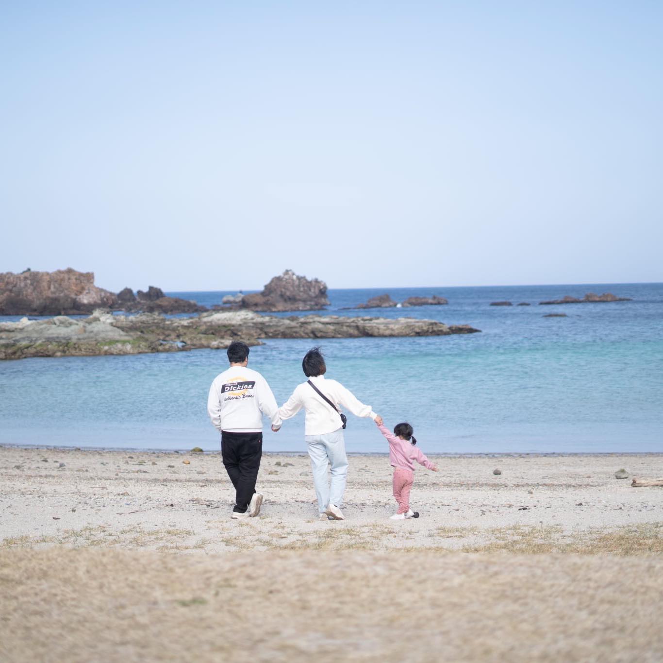 September marks the beginning of cosmos season in Japan! If you’re ...