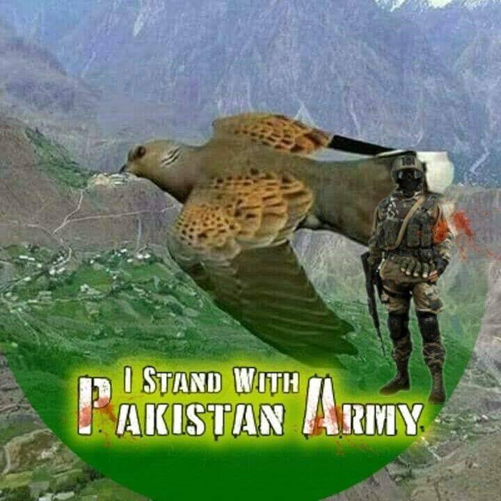 Rizwan Khan Pak Army