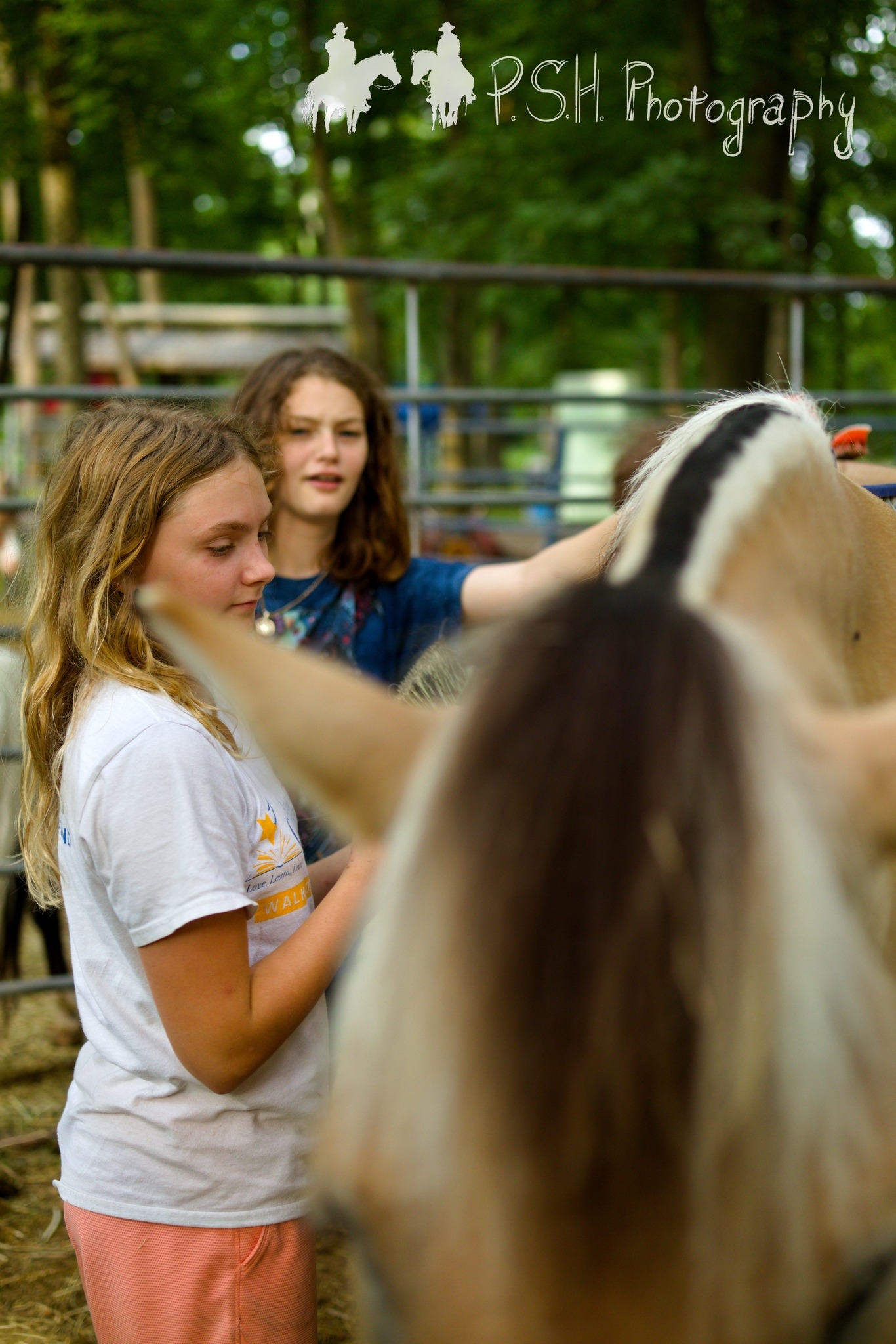 Redemption Ranch Horsemanship