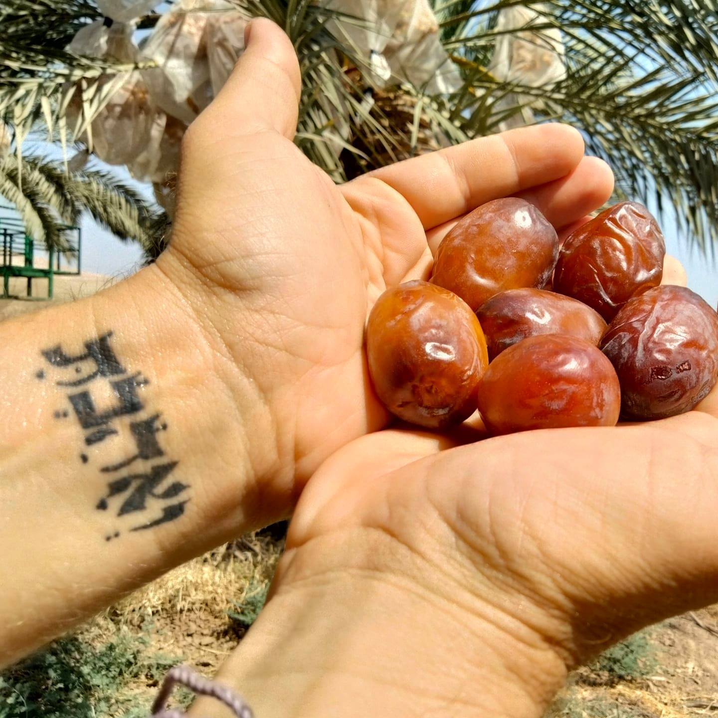 הבונבונים - תמר בונבון מדהים