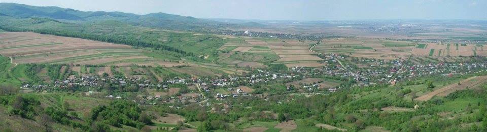 Asociatia Social Culturala CLEJA