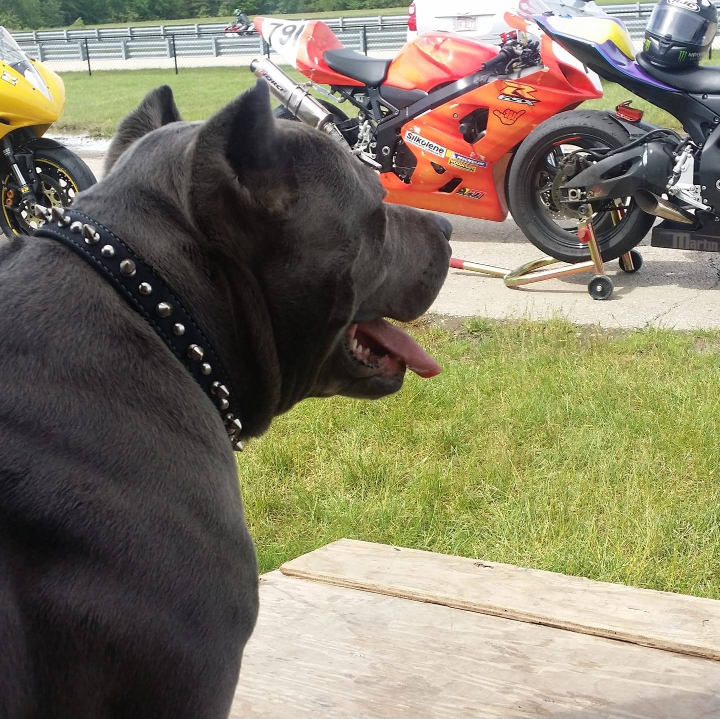 Infamous Riders