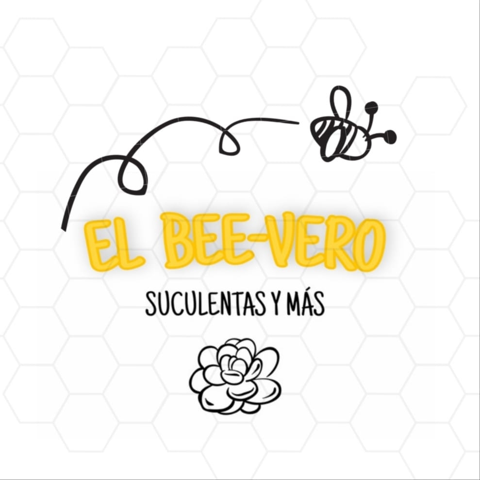 El Bee-vero | Arequipa