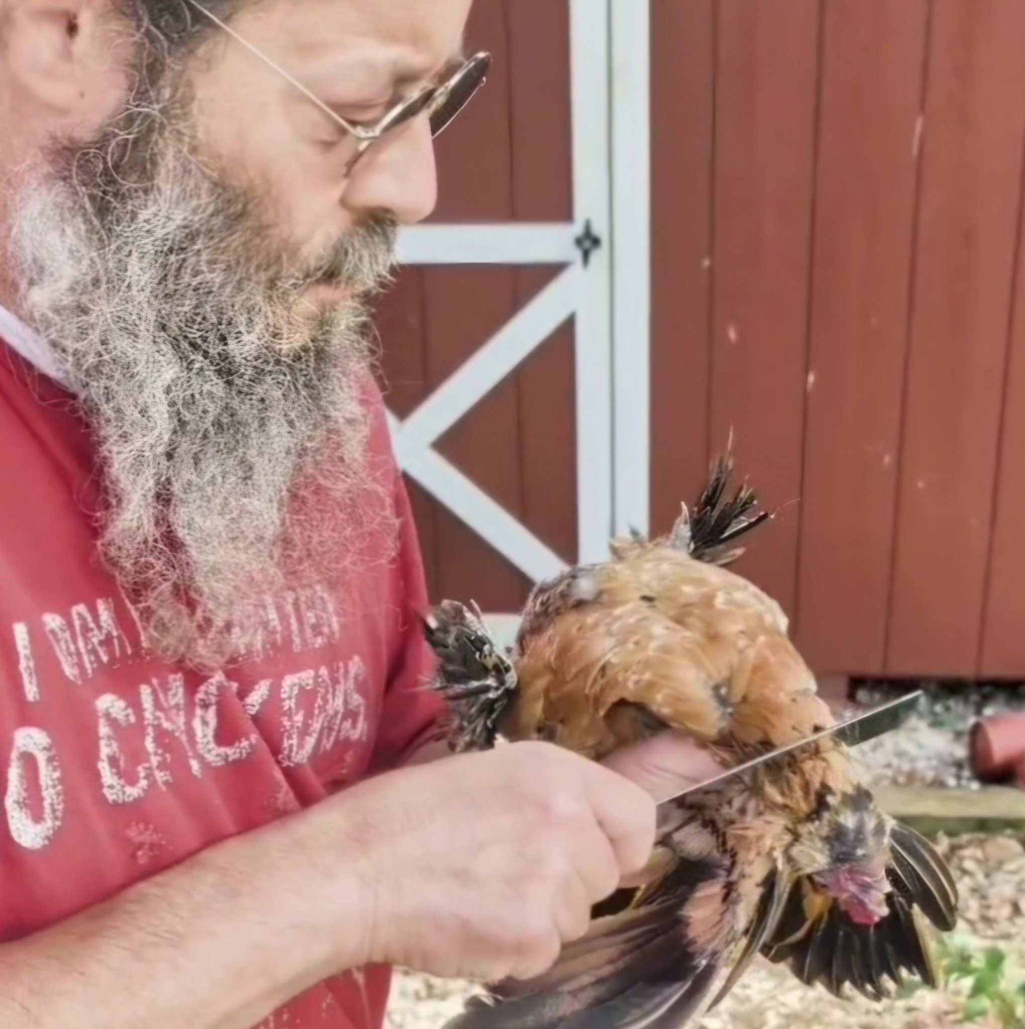 Backyard chicken | can someone please tell me what’s wrong with my baby ...