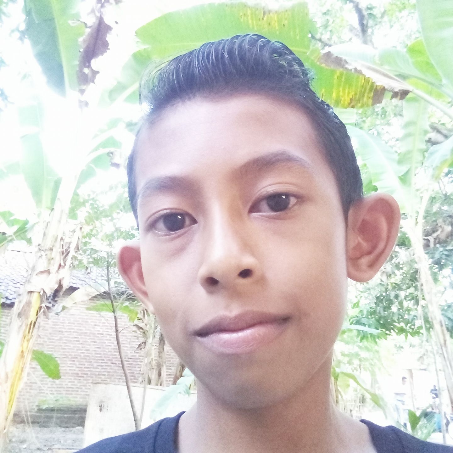 A.Ali RIFAI