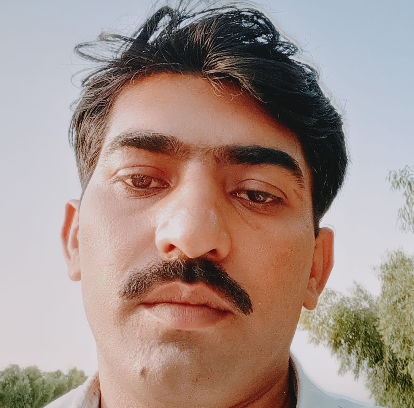 Rashid haraj sab