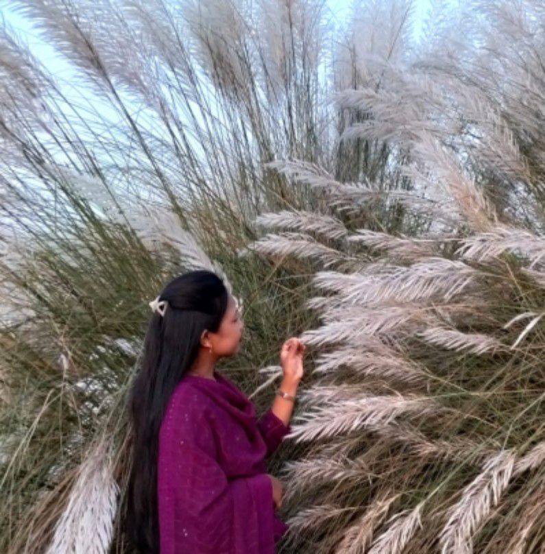 Bristi Rani Sristi
