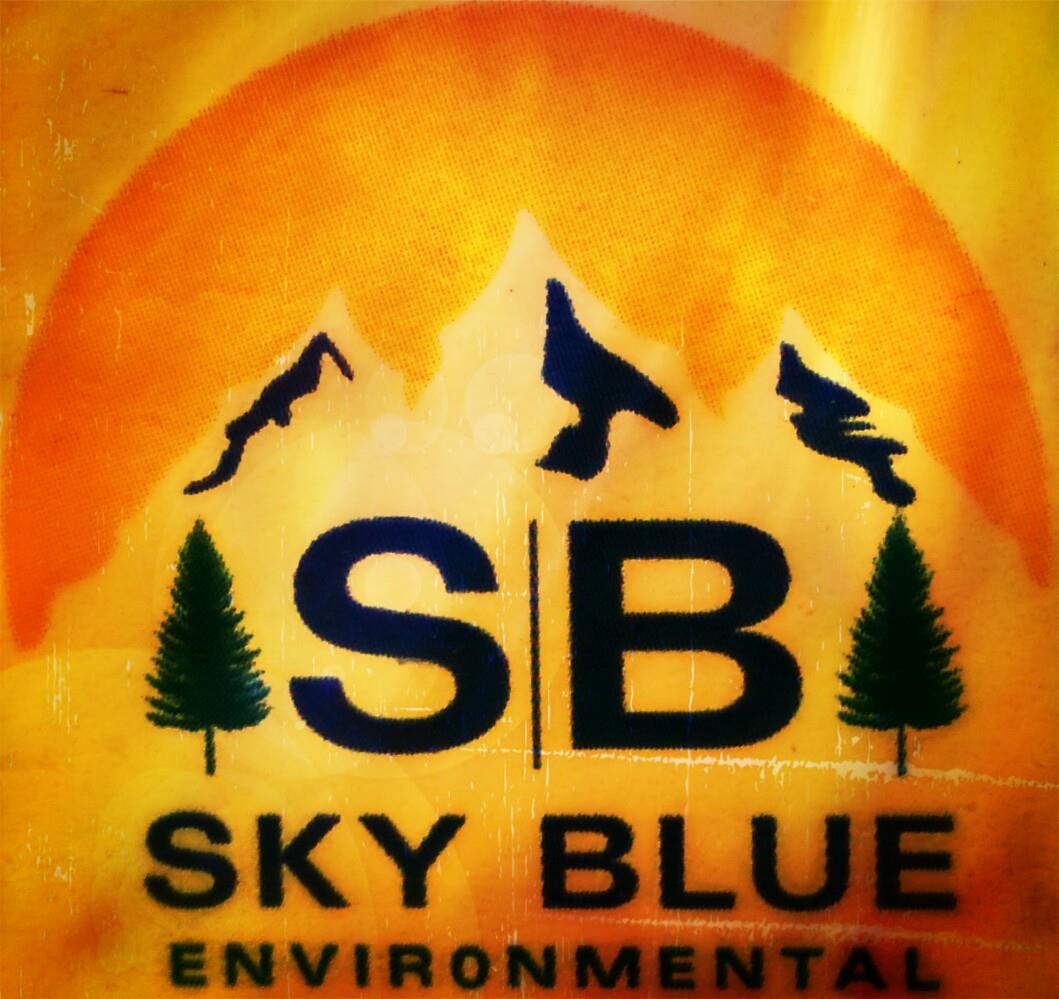 Fascinating Sky Blue Environmental Inc Photos