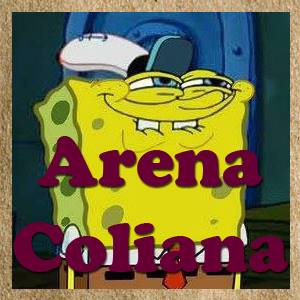 Arena Coliana