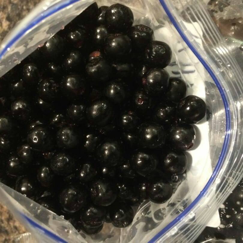 Woods Aronia Farm LLC | Fairbank IA