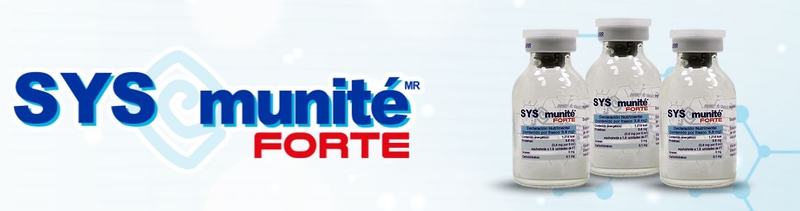 SYS Munite 2.0 CDMX, Queretaro, Zapopan